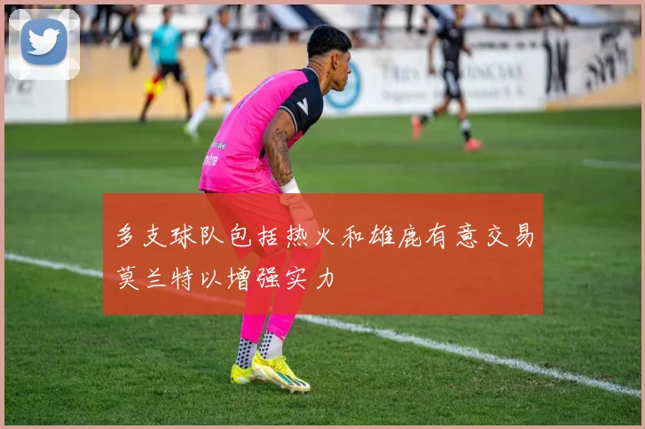 多支球队包括热火和雄鹿有意交易莫兰特以增强实力