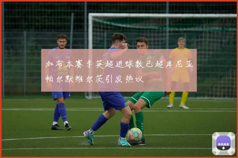 加布本赛季英超进球数已超库尼亚帕尔默维尔茨引发热议