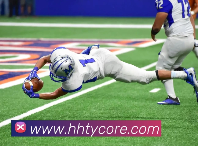 火狐体育平台生态图